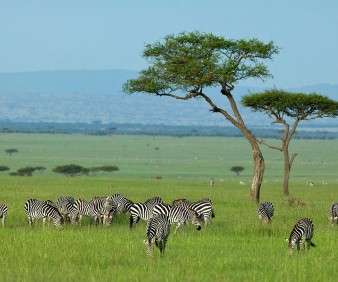 Kenya Discovery tours  with a small group
